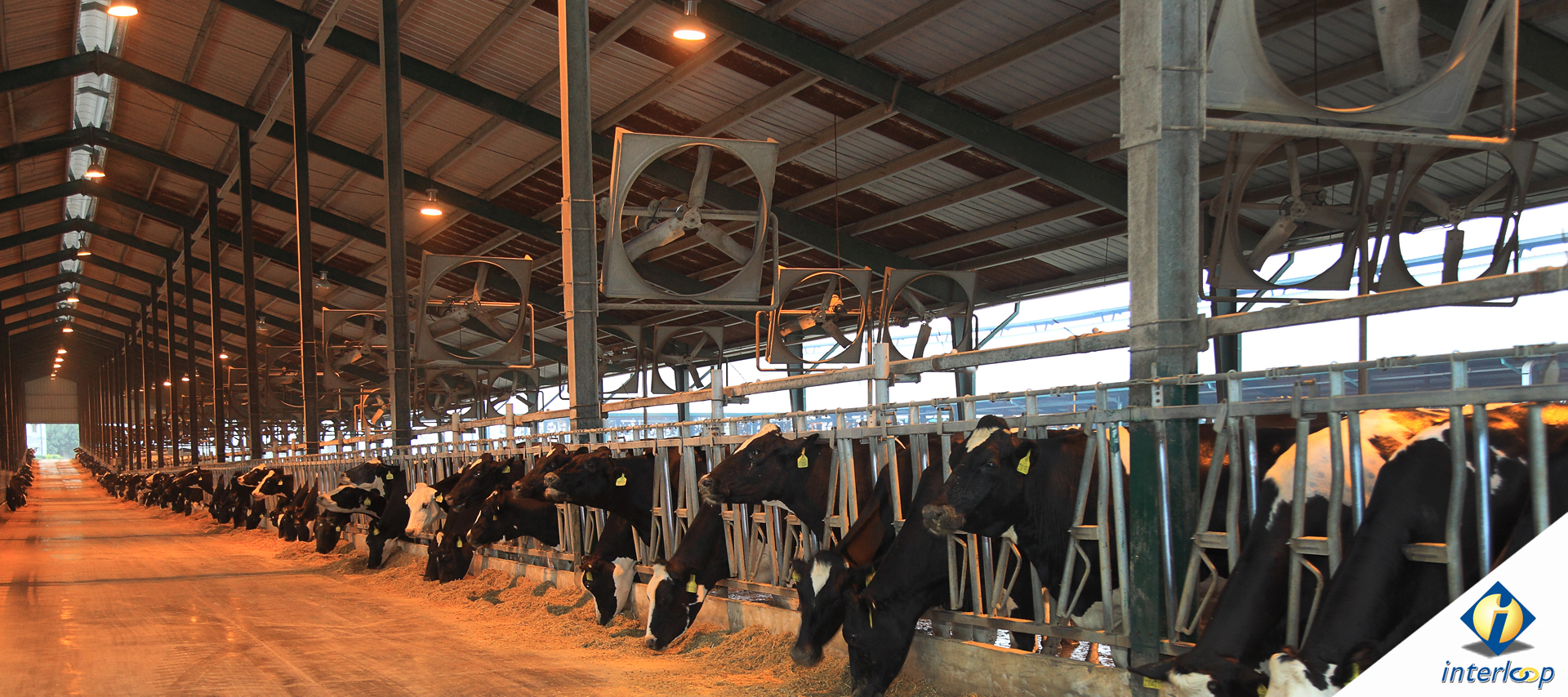 A Growing Dairy Business With The Highest Quality Products